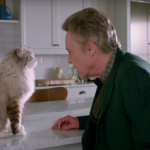 nine-lives-kevin-spacey-christopher-walken